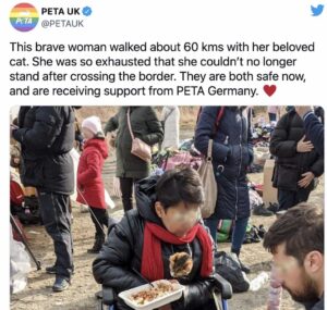 PETA helps refugee with cat