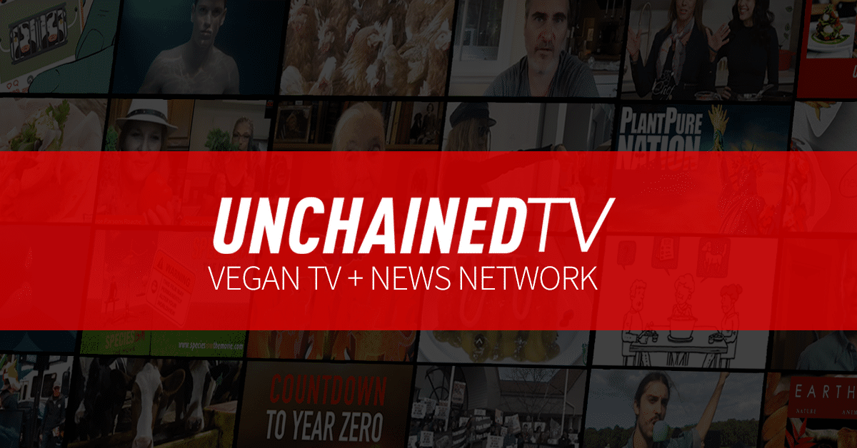 vegan news network