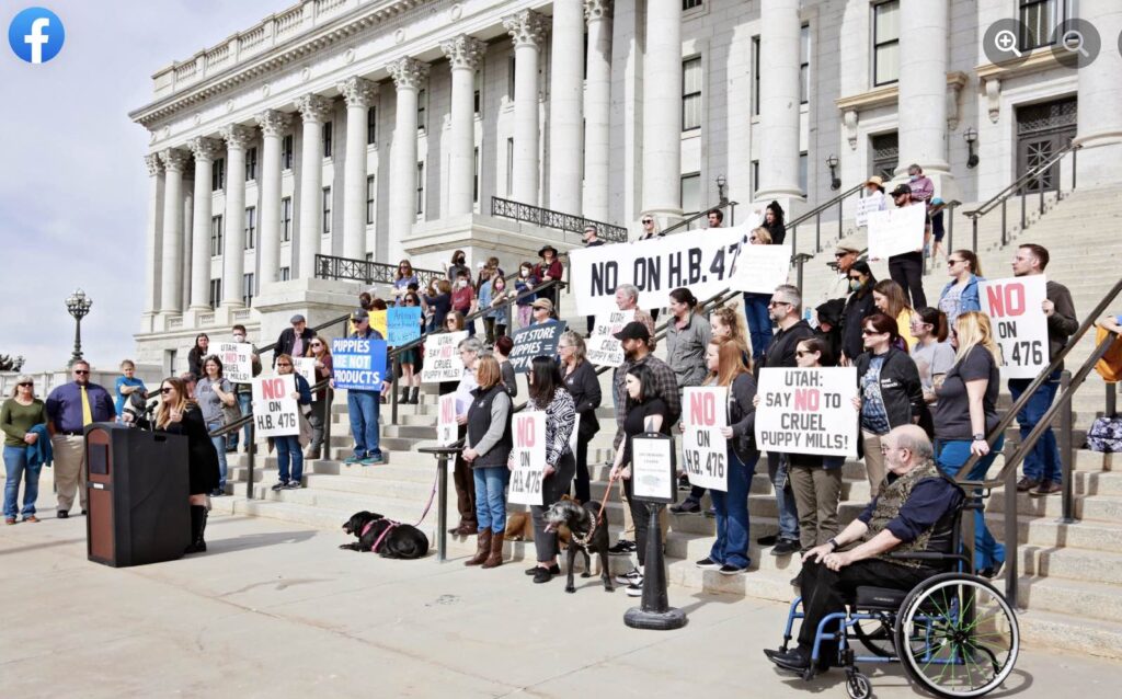 Utah's Humane Society held a protest on the steps of the Utah Capitol Building.