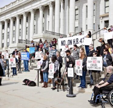Utah's Humane Society held a protest on the steps of the Utah Capitol Building.