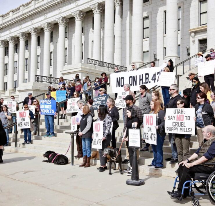 Utah's Humane Society held a protest on the steps of the Utah Capitol Building.