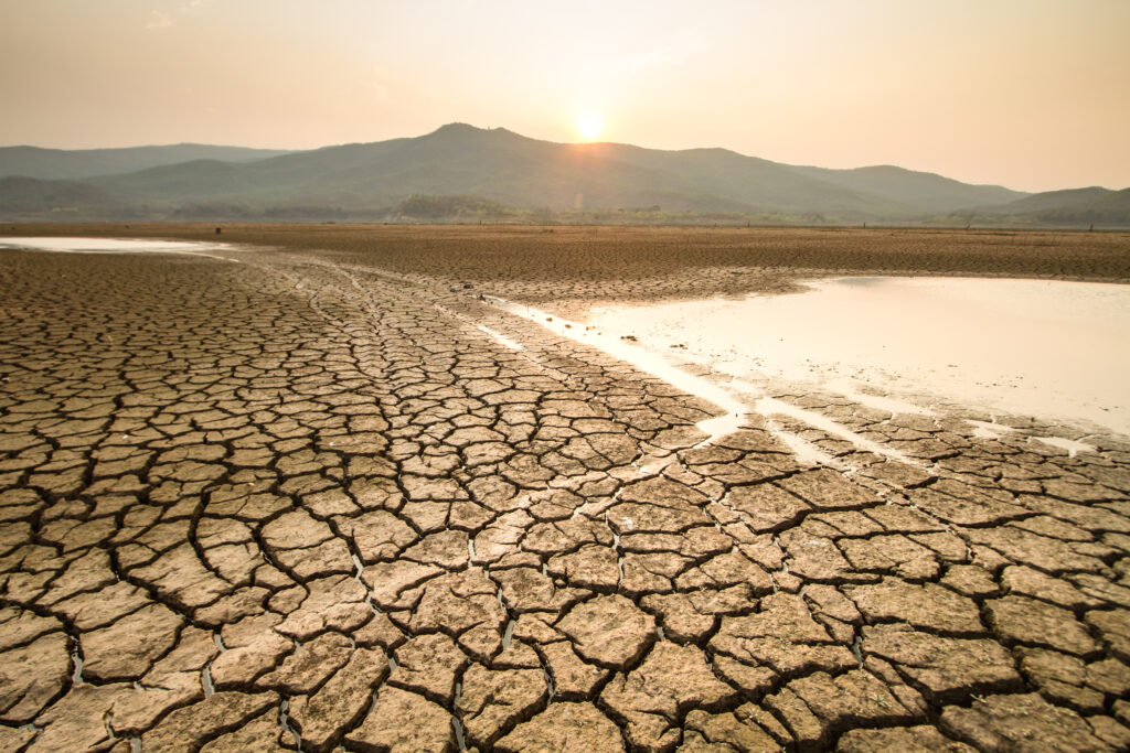 Water Crisis in the form of a desert by a drying pond