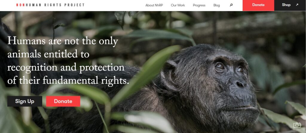 Non Human Rights Project website