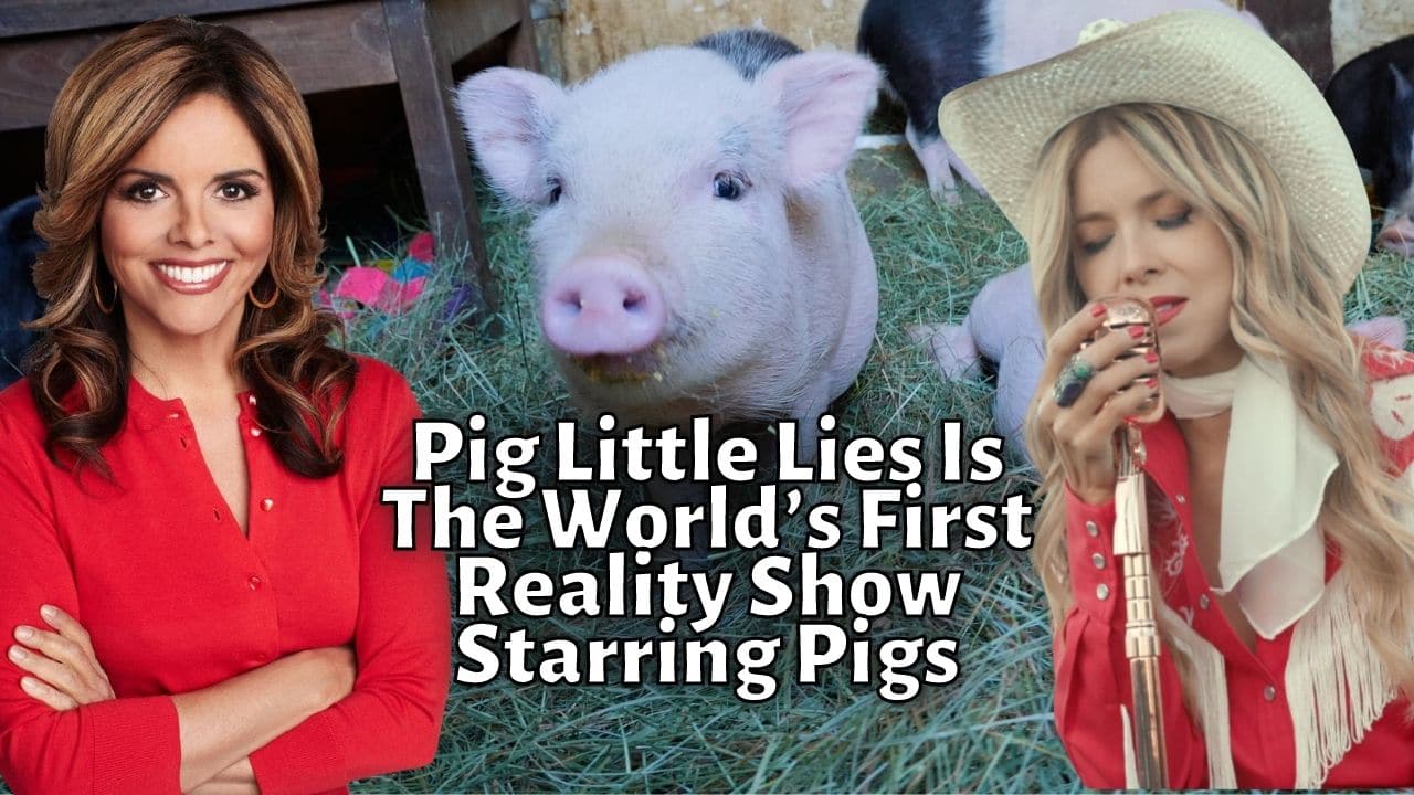 Pig Little Lies Is The World’s First Reality Show Starring Pigs