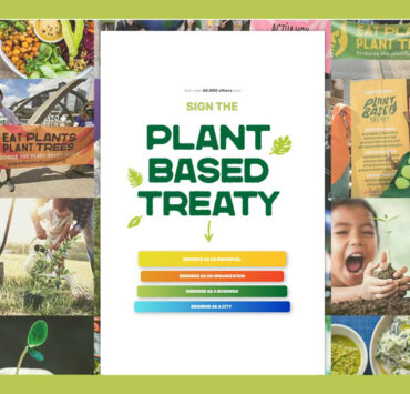 Plant Based Treaty website