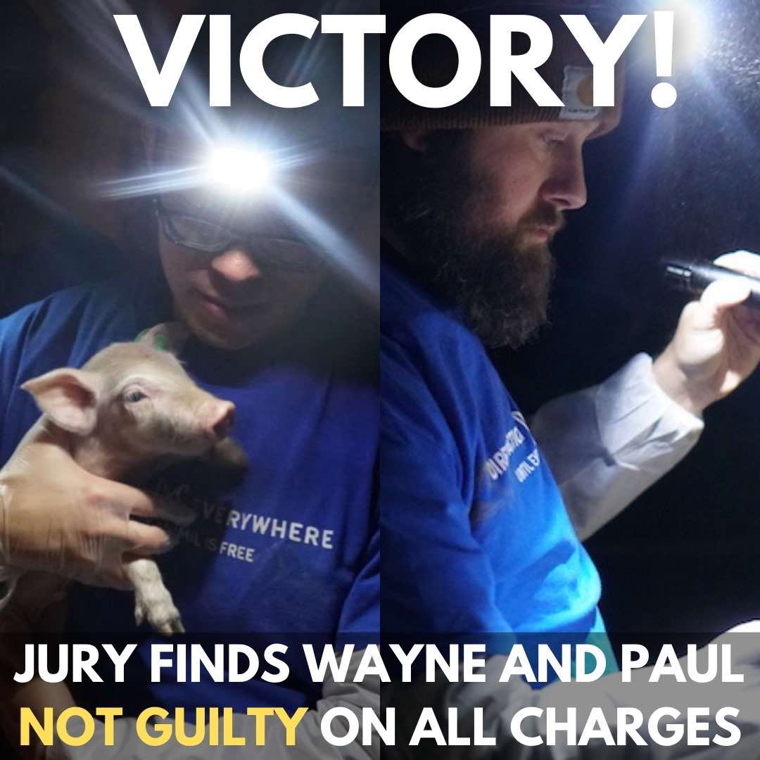 Direct Action Everywhere declares victory with not guilty verdicts.
