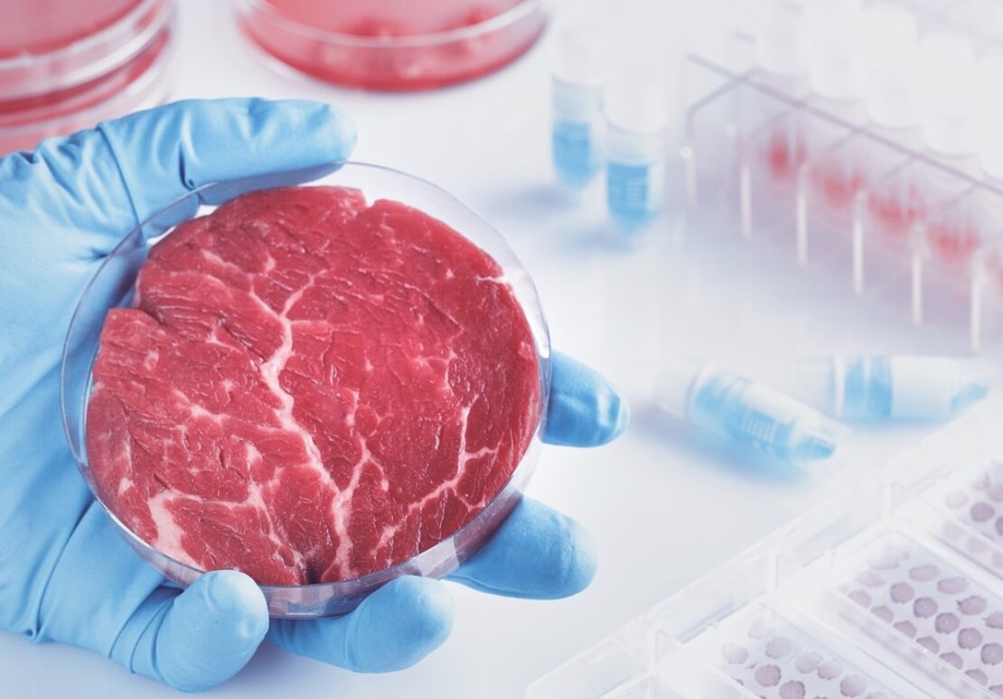 Cultured meat growing in dish