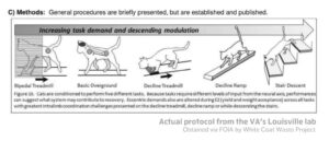 Cat experiment diagram from whitecoastwaste.org