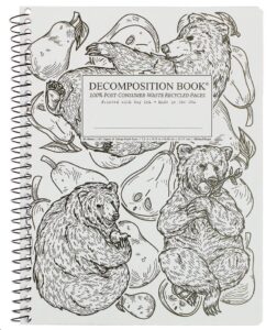 Decomposition notebook