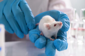 Mice in lab being tested