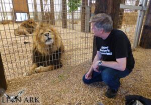ADI team member with rescued circus lion