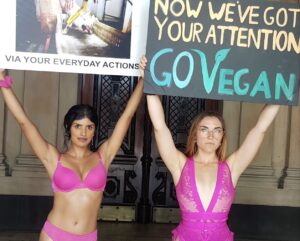 Women protesting for animals in lingerie.