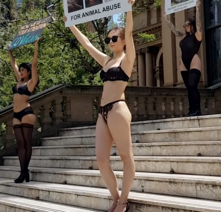 Woman protesting for animals in lingerie