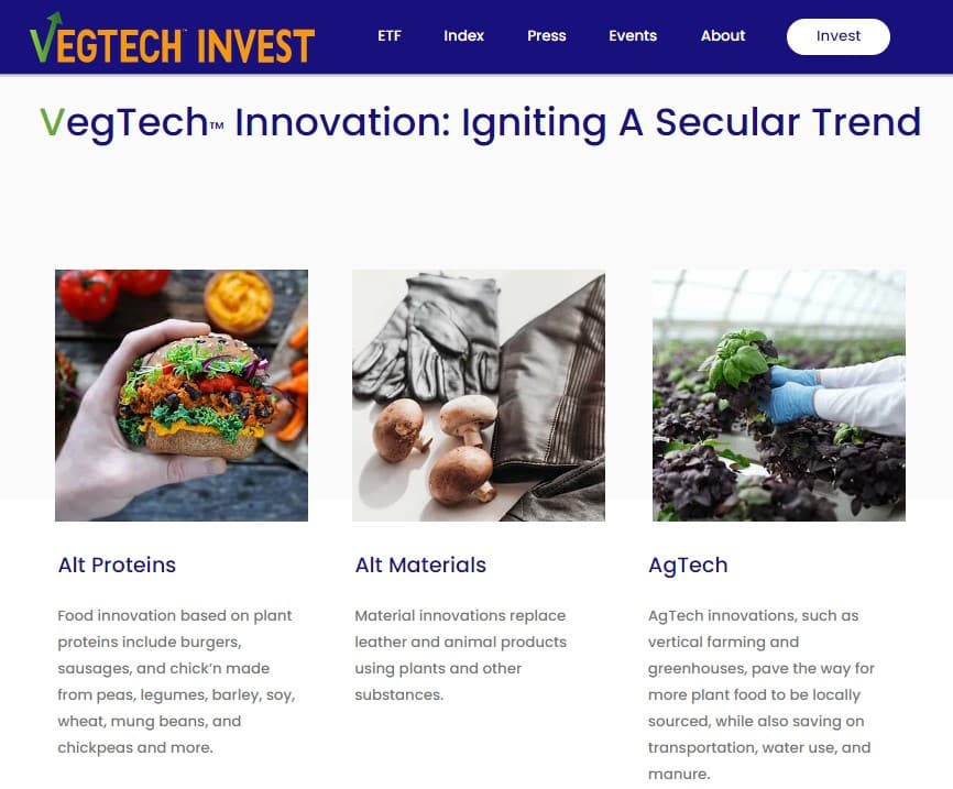 Vege Tech Invest website
