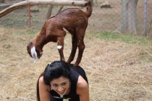 Dolly Vyas with goat