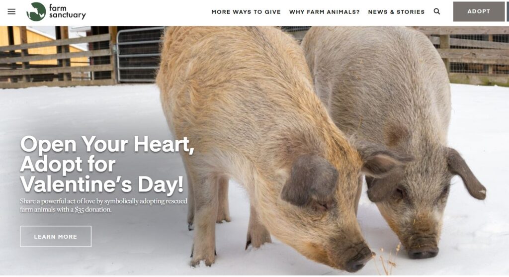 Website of Open Your Heart Event at Farm Sanctuary