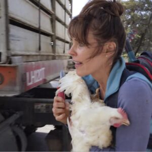 Baywatch actress Alexandra Paul with chicken during open rescue. 