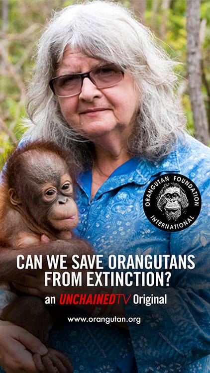 Dr. Biruté Mary Galdikas - Orangutan Foundation International