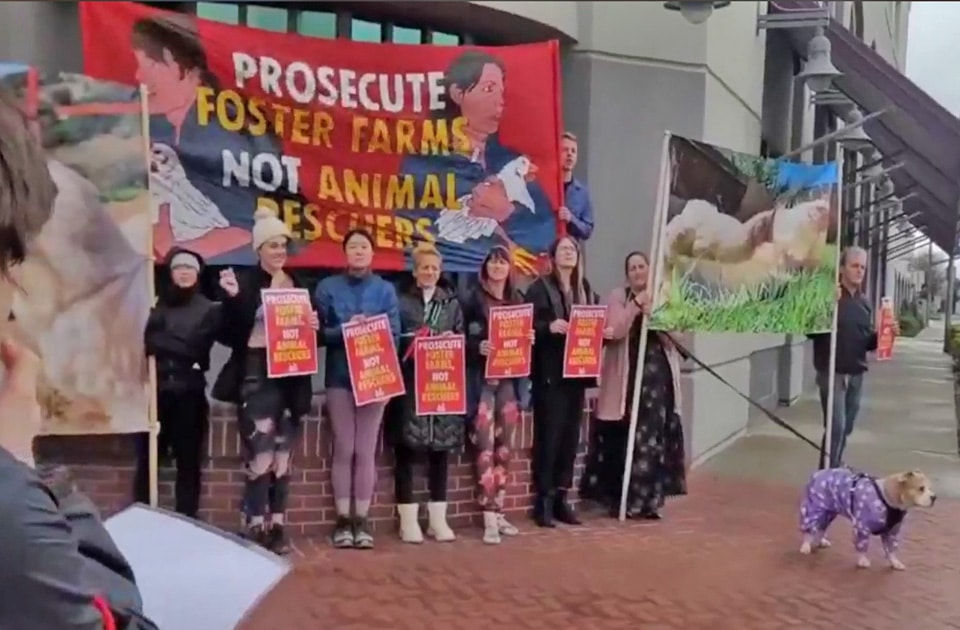 Protestors outside the court on the chicken Open Rescue case