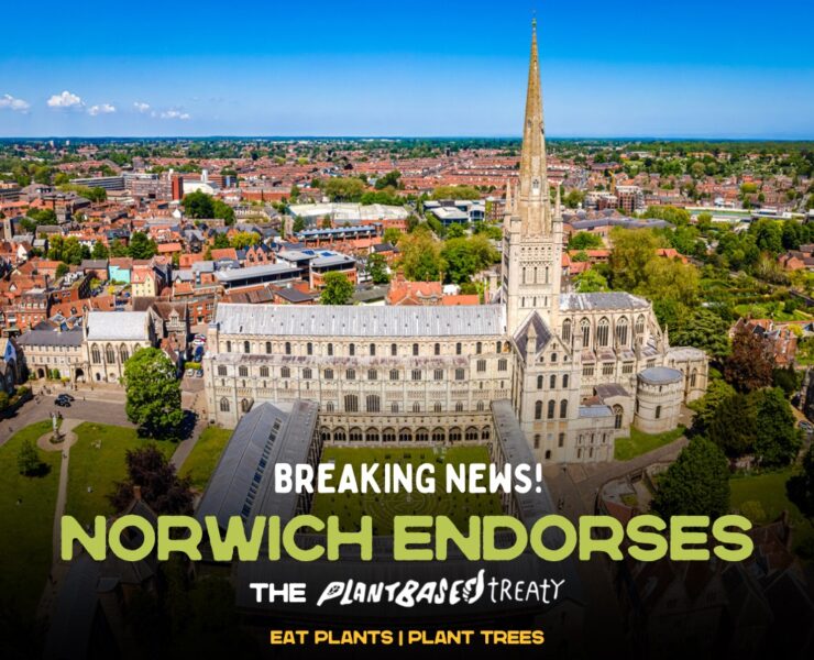 Norwich endorses the Plant Based Treaty
