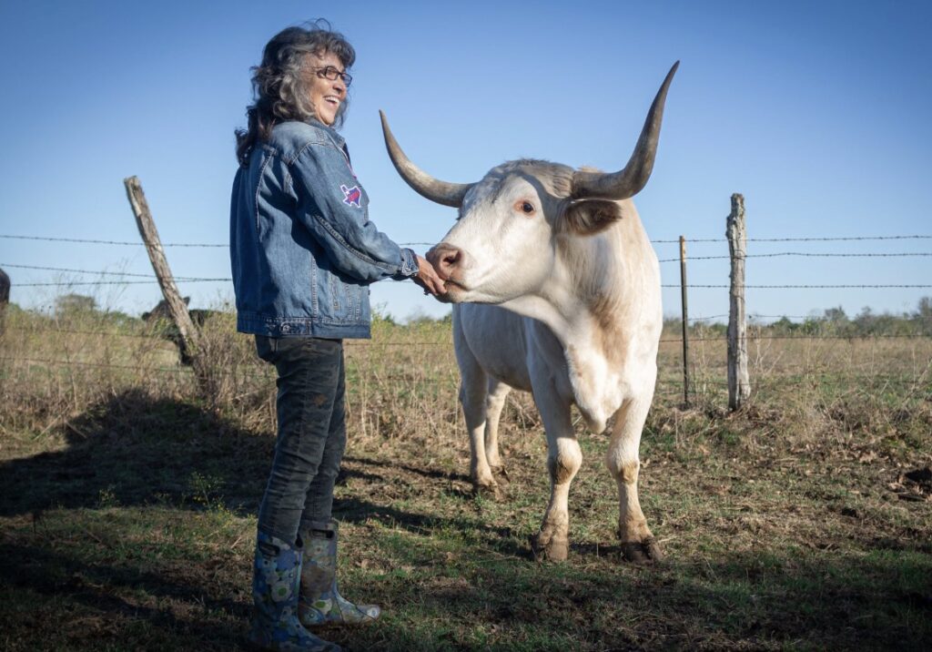 Renee King-Sonnen with a rescued cow.