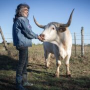 Renee King-Sonnen with a rescued cow.