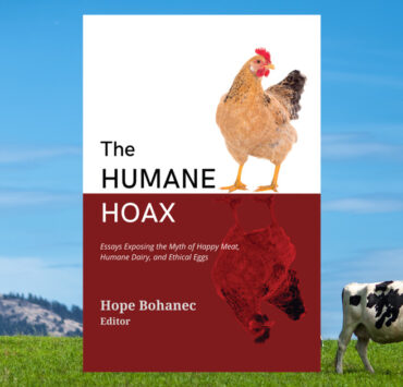 Open pasture, happy cows. By JonathanHLee and Humane Hoax book by Lantern Publishing