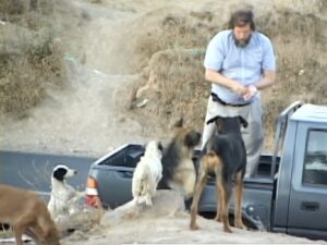 Una escena de la película Hero Dog, que ahora se transmite en UnchainedTV.