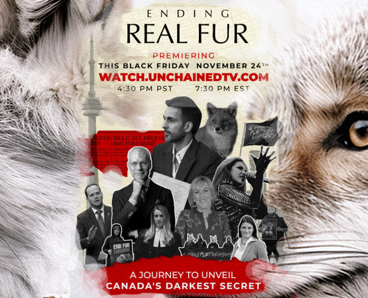 Ending Real Fur documentary premiere
