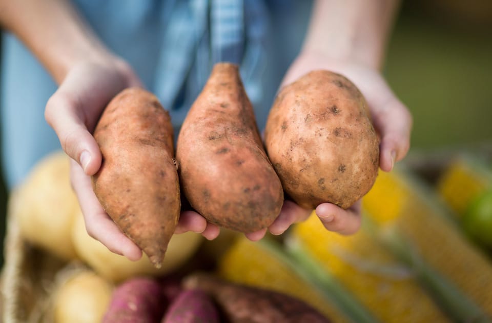 Cropped image of a woman holding sweet potatoes, 