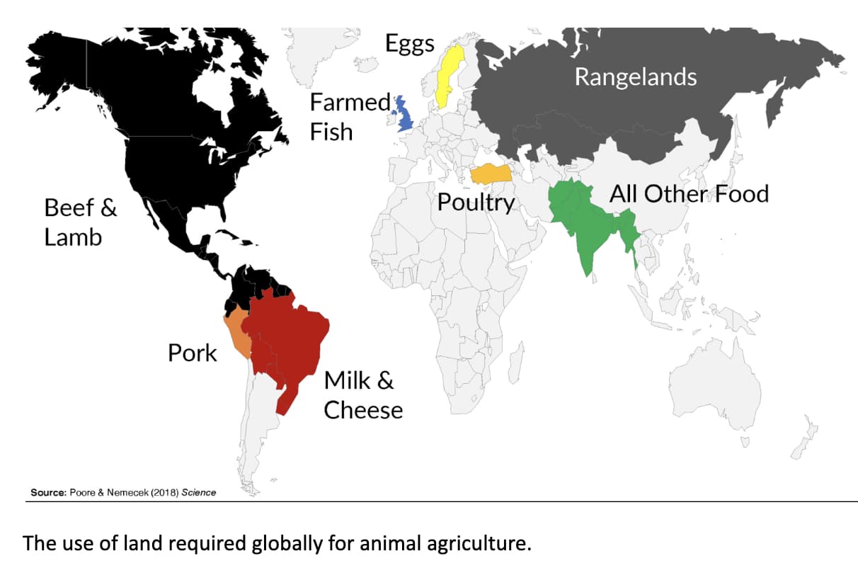 A map shows the staggering amount of land used for animal agriculture.