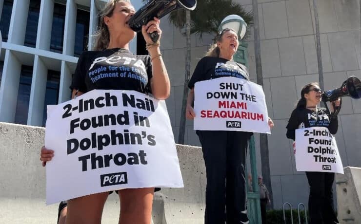 PETA protesting Miami Seaquarium
