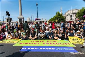 Animal Rising activists in London