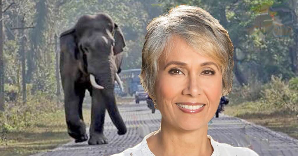 Sangita Iyer and Asian Elephant