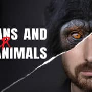 Humans and other animals poster