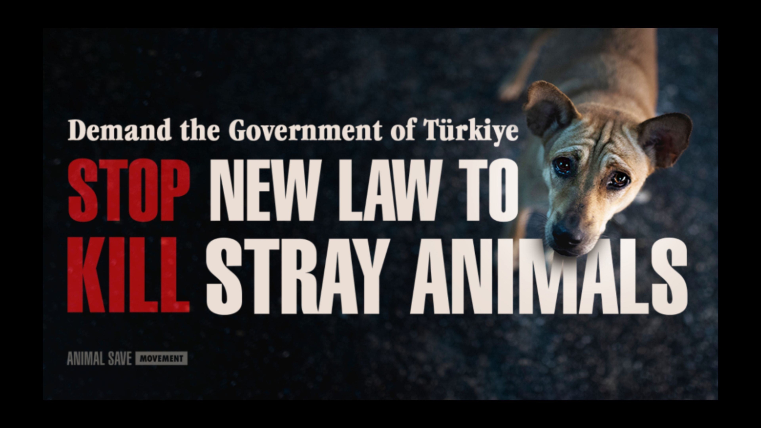 Poster against Turkey's dog massacre