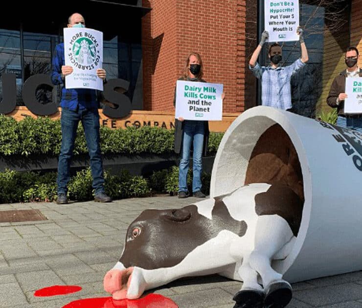 PETA protesting Starbucks Plant Based Milks surcharge