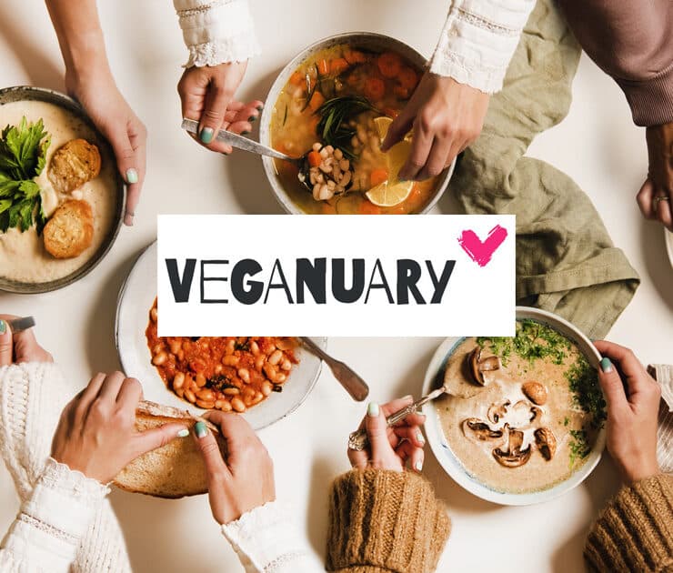 People eating Autumn and Winter creamy vegan soups, by sonyakamoz via Stock Images