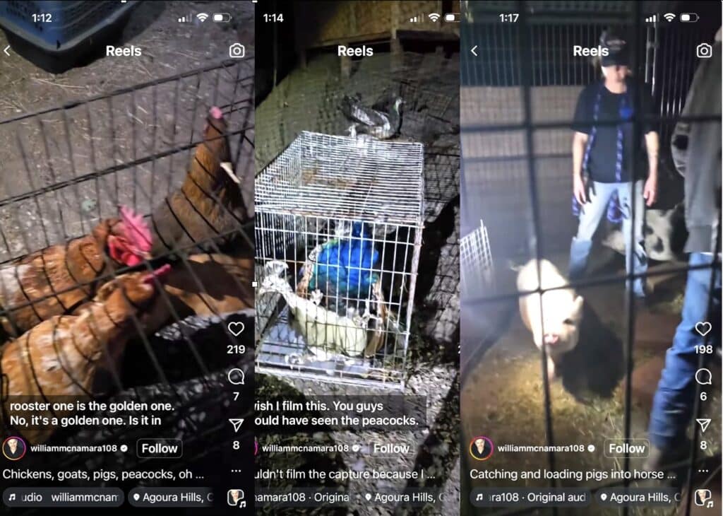 Billy McNamara's IG acct shows rescues in progress during inferno