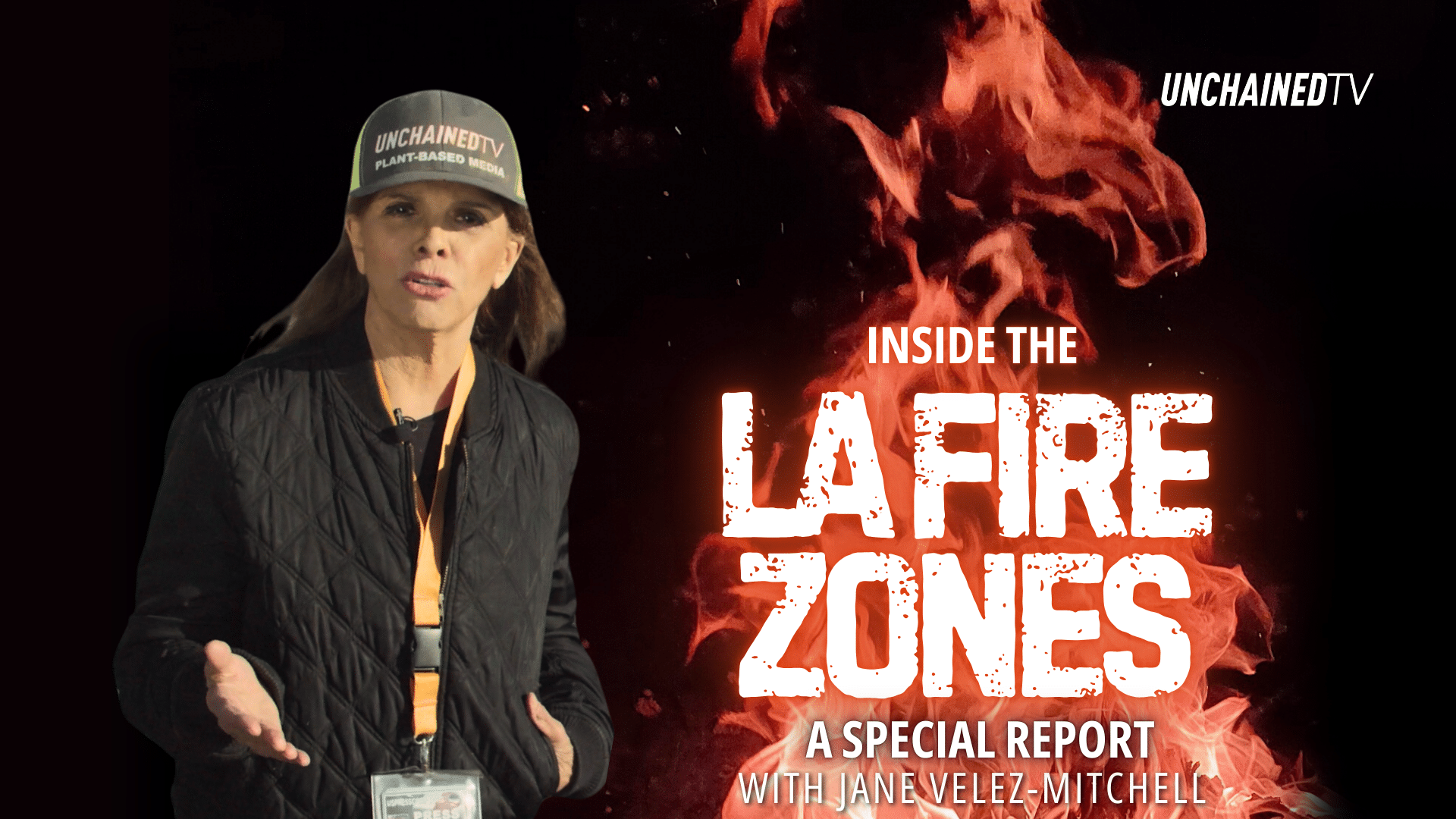 LA Fires Video