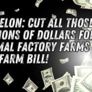 Elon Musk is being urged to cut subsidies to animal agriculture in the farm bill.