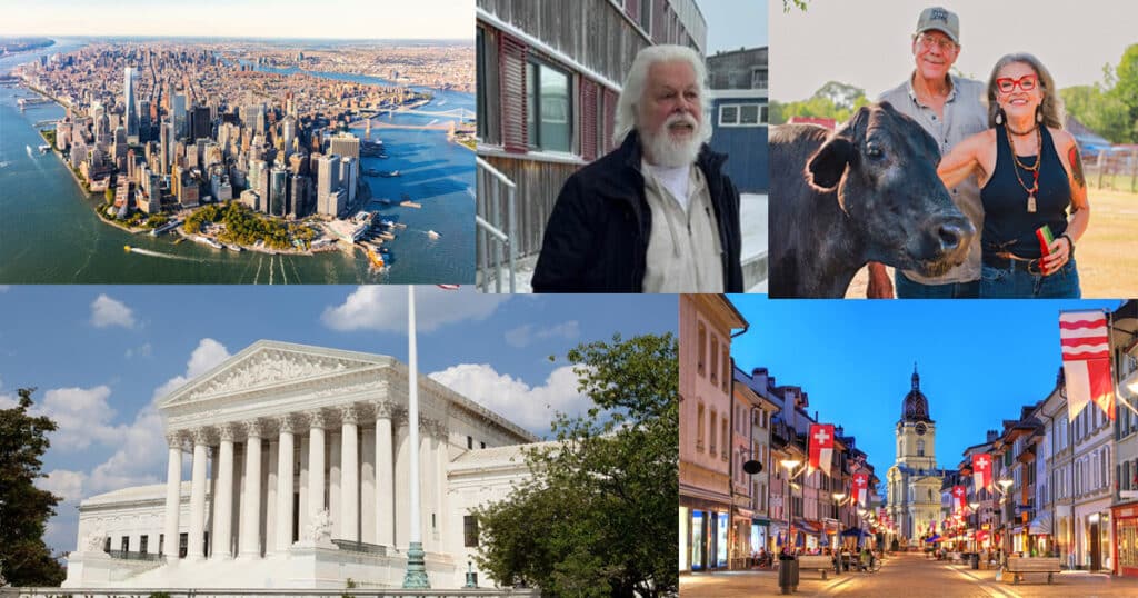 Five animal rights victories