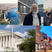 Five animal rights victories