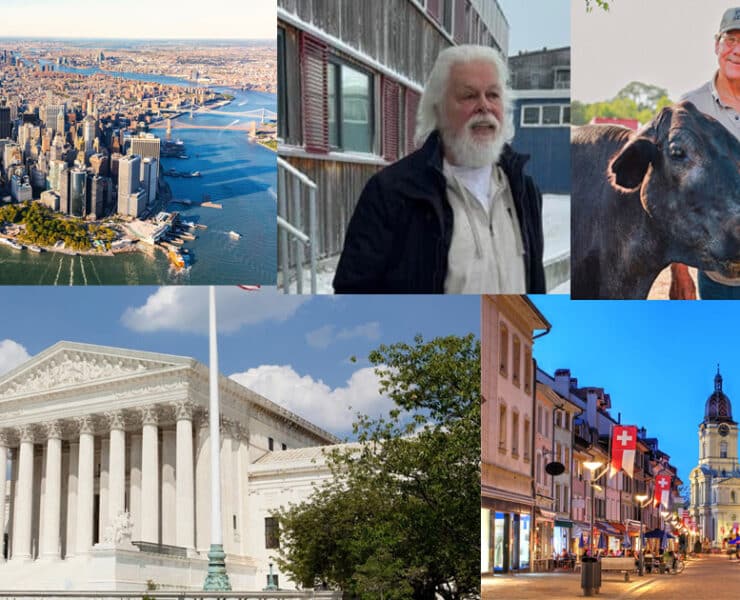 Five animal rights victories