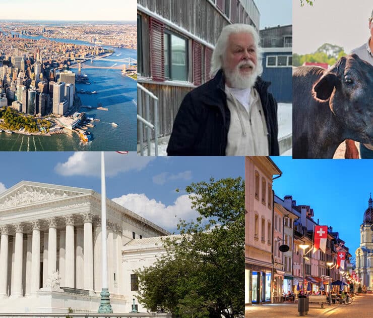 Five animal rights victories