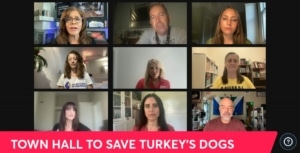 UnchainedTV Town Hall to Save Turkeys Stray Dogs