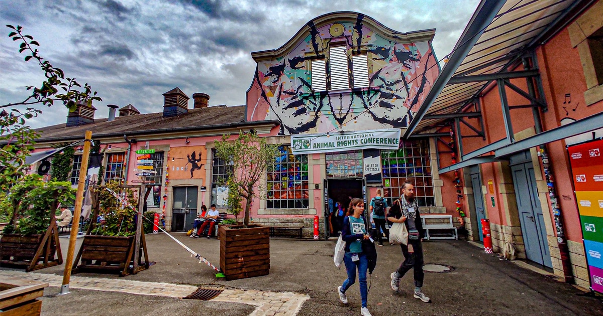 Kulturfabric venue of the IARC