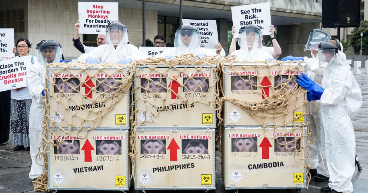 PETA demonstration in front of CDC