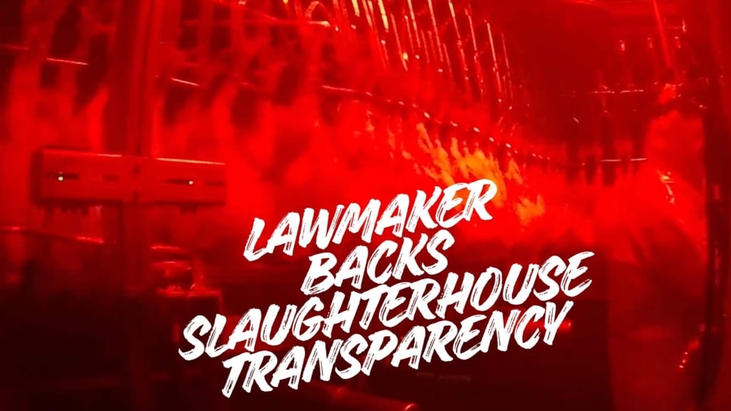 lawmaker backs slaughterhouse transparency