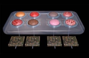 Physiomimetic technology. Organs on a chip. 3d rendering